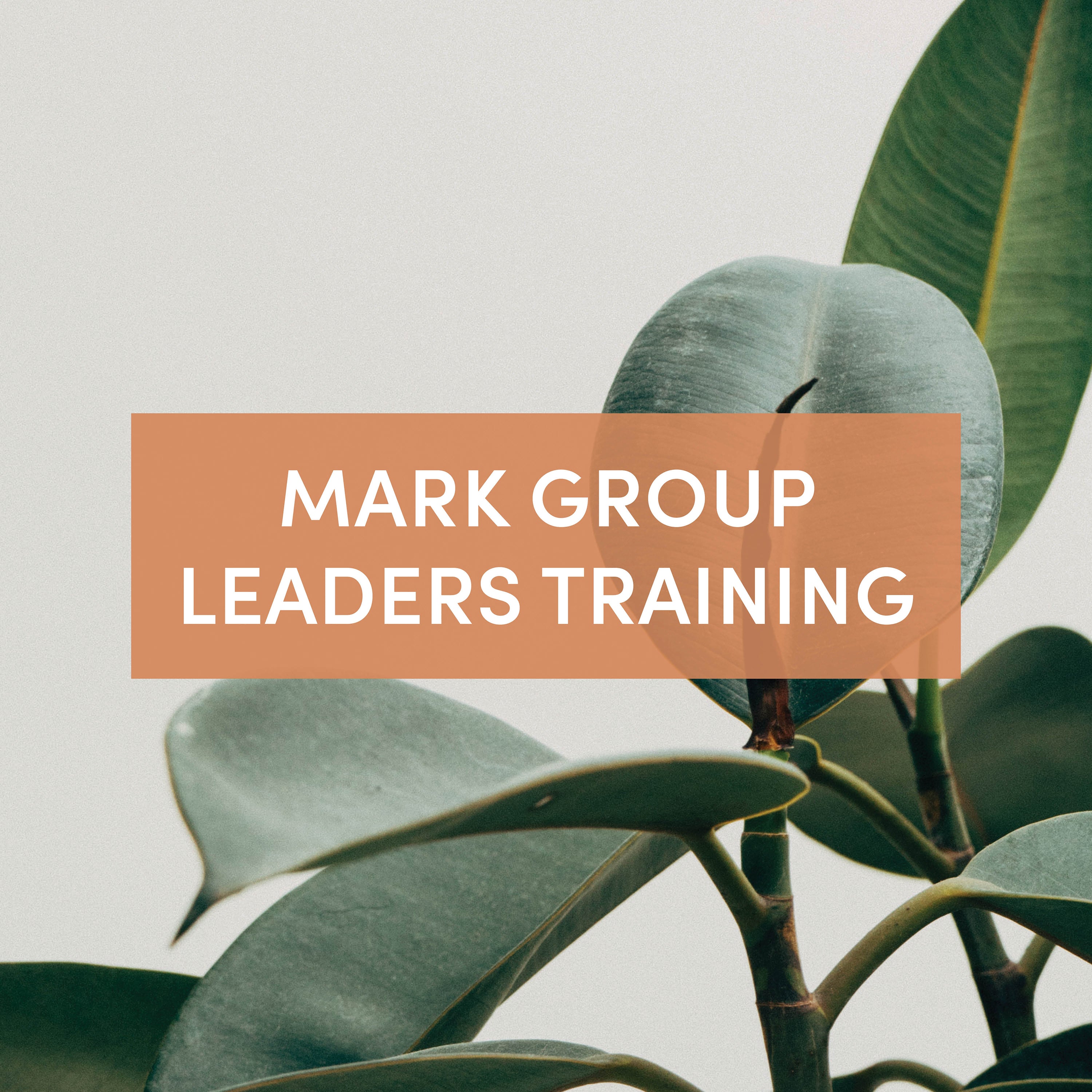 Mark Group Leaders' Training