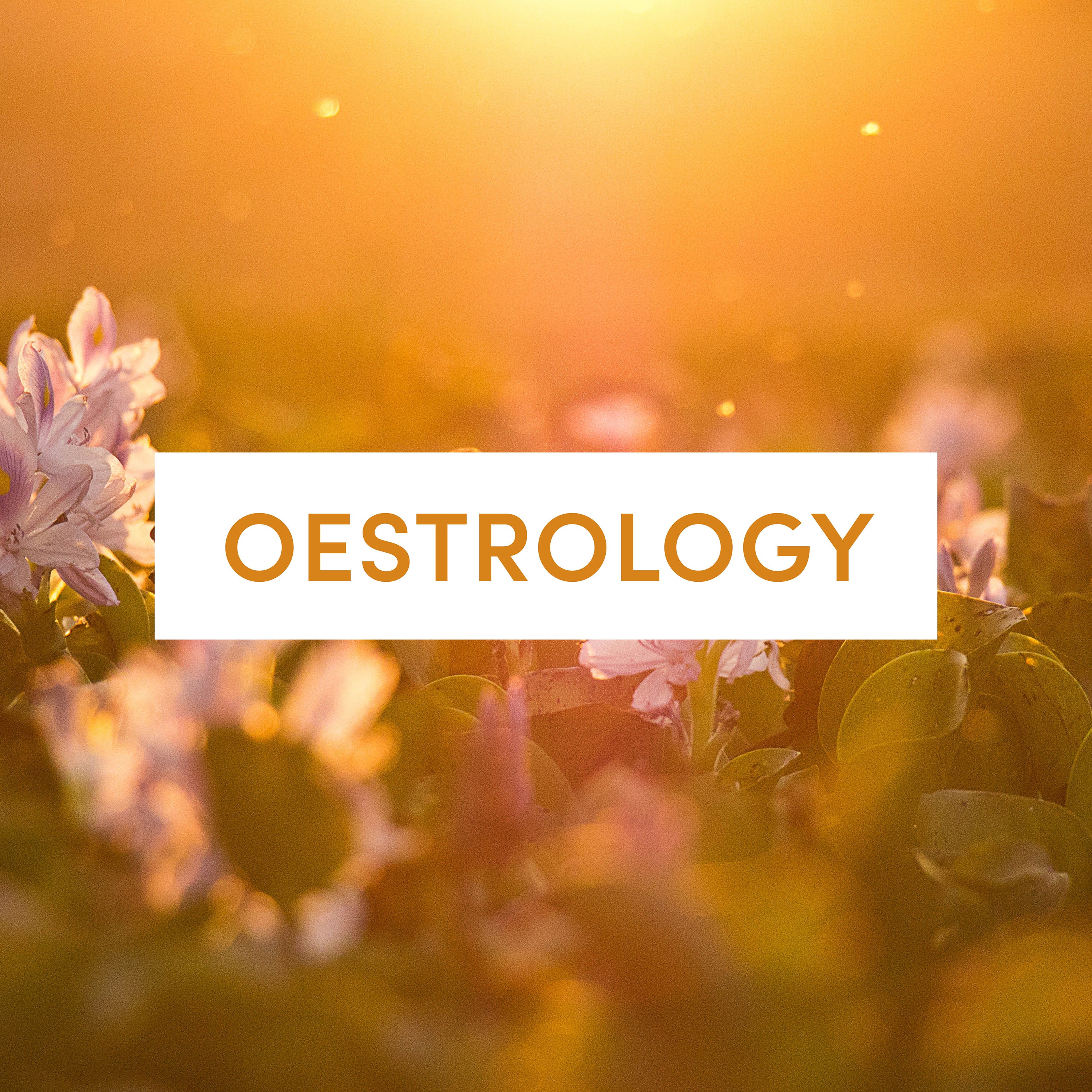 Oestrology