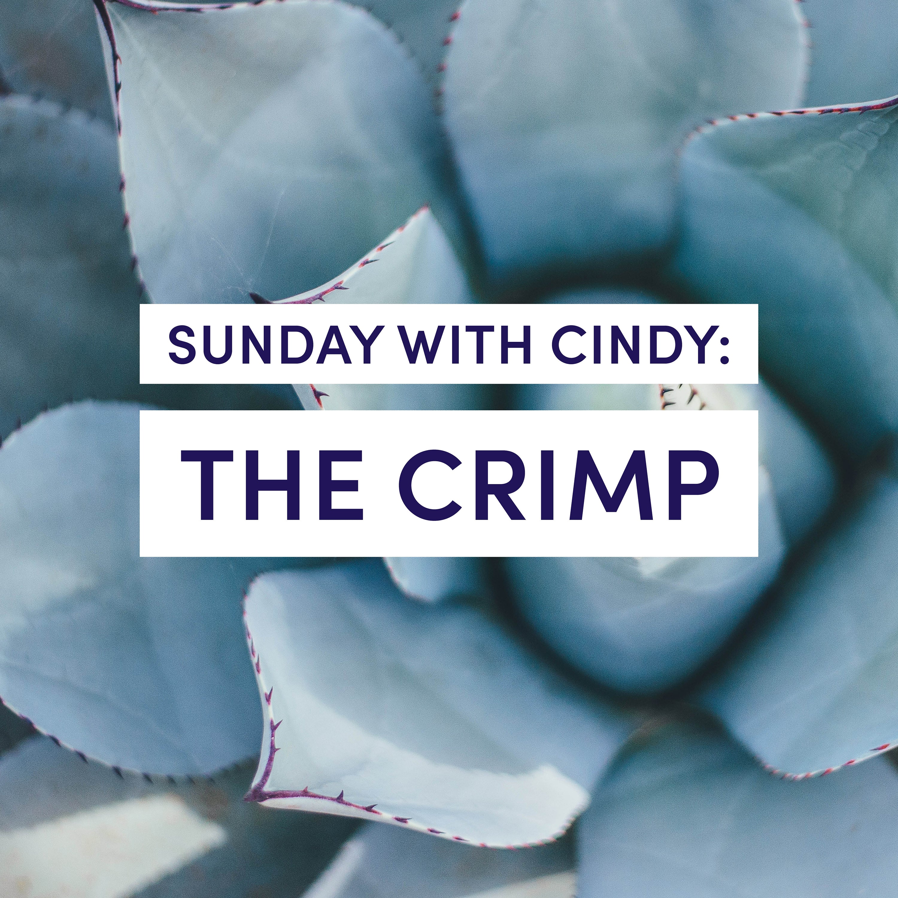 Sunday with Cindy: The Crimp