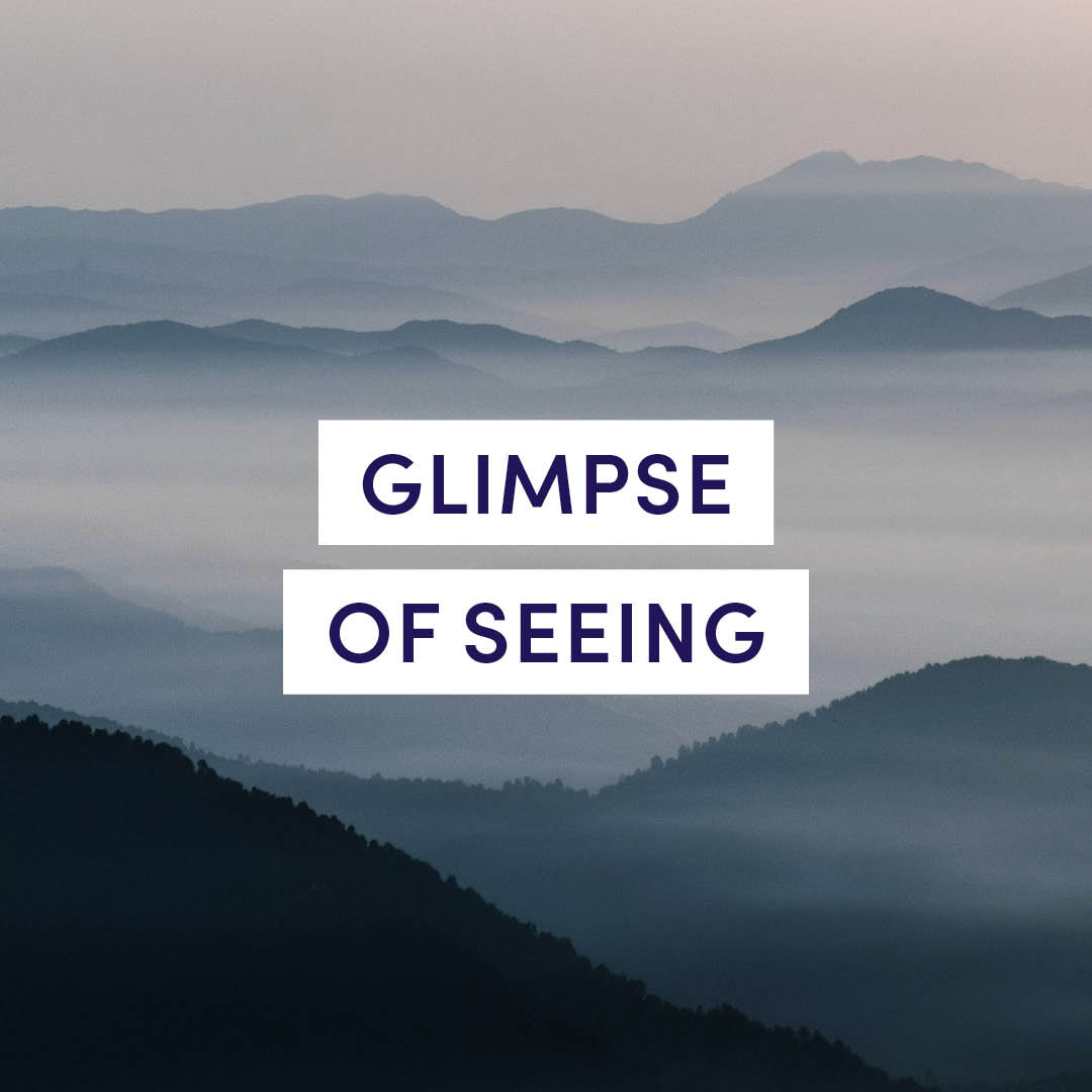 A Glimpse of Seeing